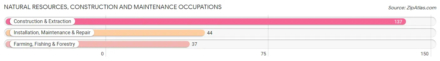 Natural Resources, Construction and Maintenance Occupations in Zip Code 75496