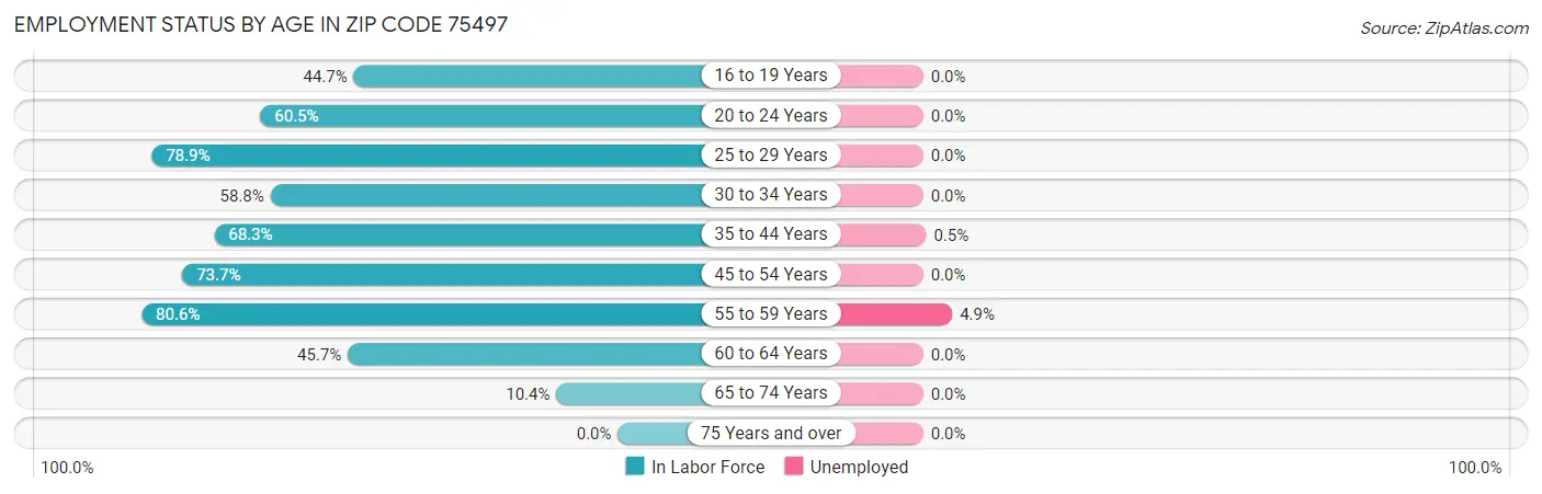 Employment Status by Age in Zip Code 75497
