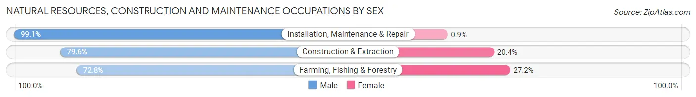 Natural Resources, Construction and Maintenance Occupations by Sex in Zip Code 75503