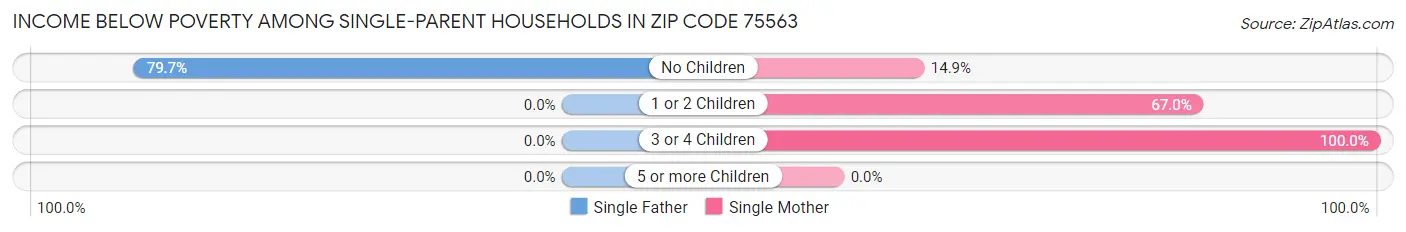 Income Below Poverty Among Single-Parent Households in Zip Code 75563
