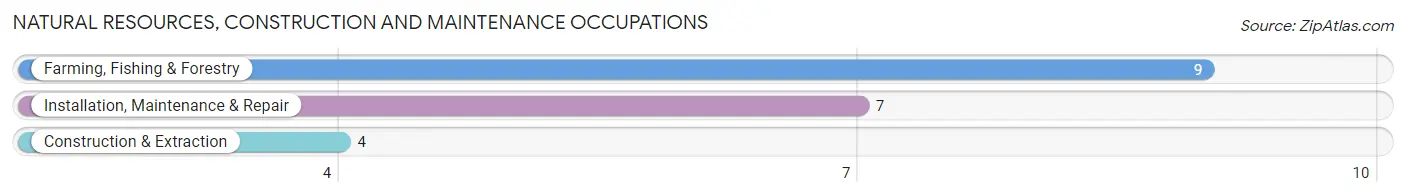 Natural Resources, Construction and Maintenance Occupations in Zip Code 75566