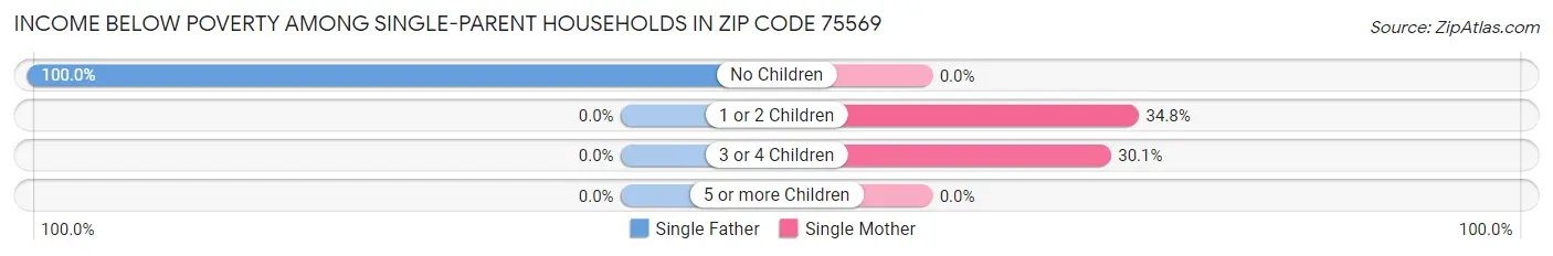Income Below Poverty Among Single-Parent Households in Zip Code 75569