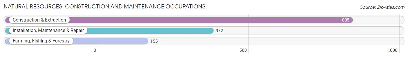 Natural Resources, Construction and Maintenance Occupations in Zip Code 75602