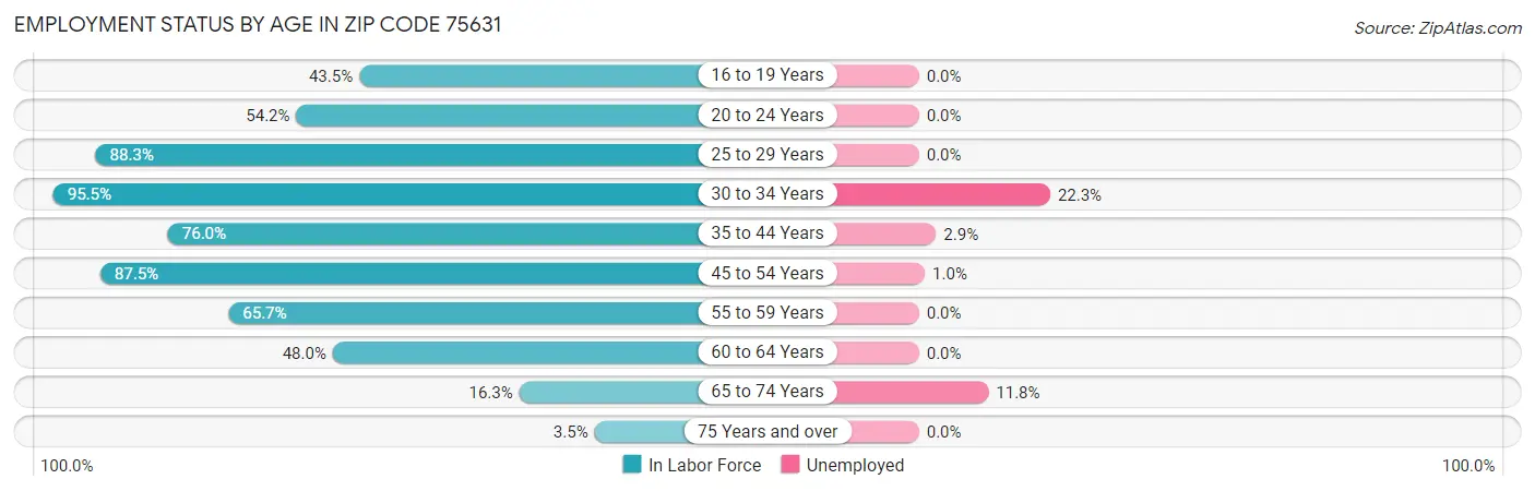 Employment Status by Age in Zip Code 75631