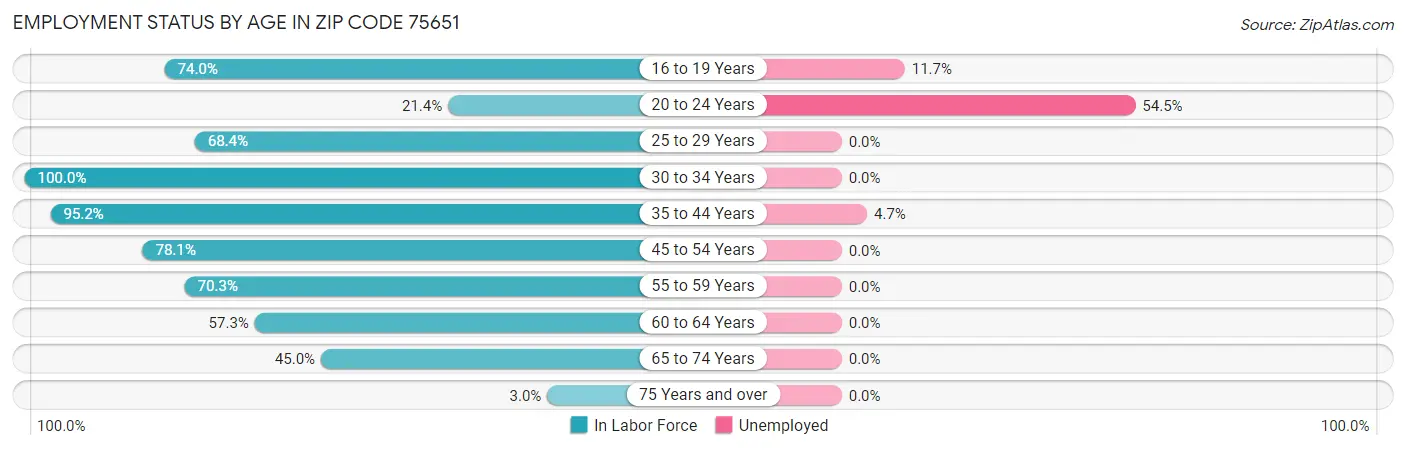 Employment Status by Age in Zip Code 75651