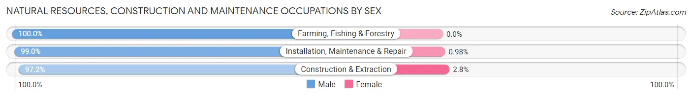 Natural Resources, Construction and Maintenance Occupations by Sex in Zip Code 75662
