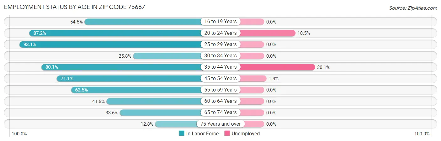 Employment Status by Age in Zip Code 75667