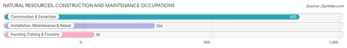 Natural Resources, Construction and Maintenance Occupations in Zip Code 75670