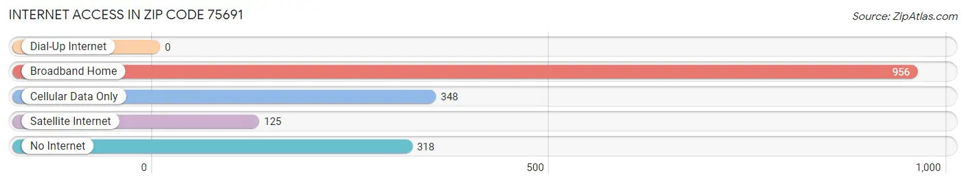 Internet Access in Zip Code 75691