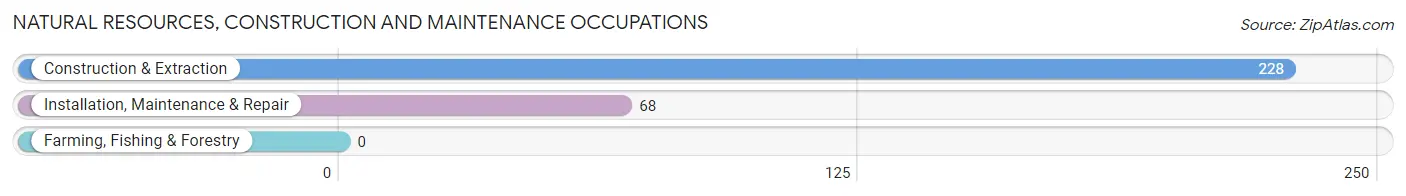 Natural Resources, Construction and Maintenance Occupations in Zip Code 75704