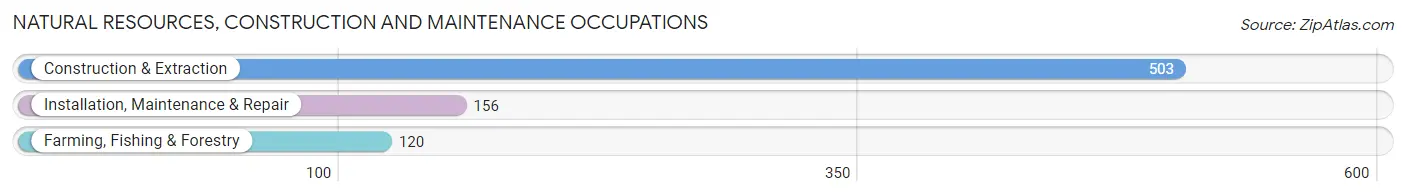 Natural Resources, Construction and Maintenance Occupations in Zip Code 75754