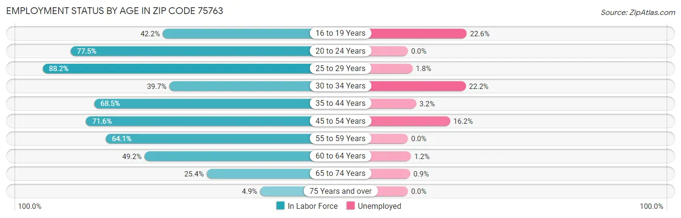 Employment Status by Age in Zip Code 75763