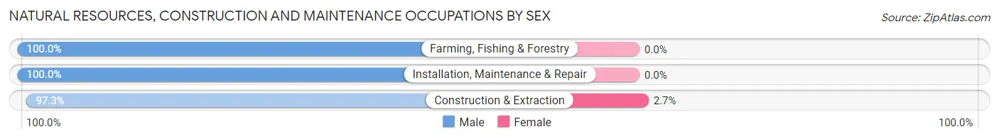 Natural Resources, Construction and Maintenance Occupations by Sex in Zip Code 75763
