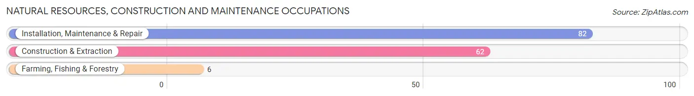 Natural Resources, Construction and Maintenance Occupations in Zip Code 75770