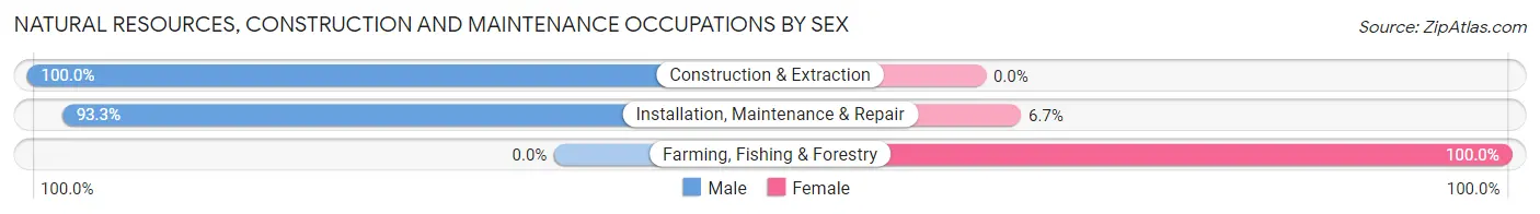 Natural Resources, Construction and Maintenance Occupations by Sex in Zip Code 75771