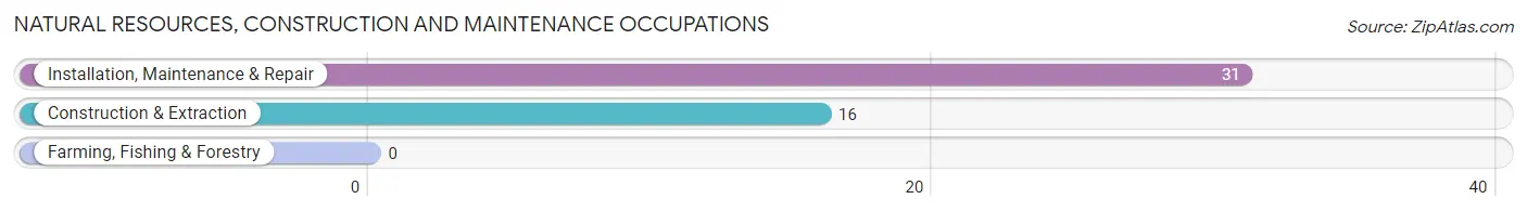 Natural Resources, Construction and Maintenance Occupations in Zip Code 75778