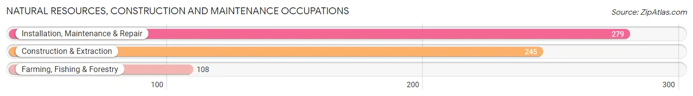 Natural Resources, Construction and Maintenance Occupations in Zip Code 75789