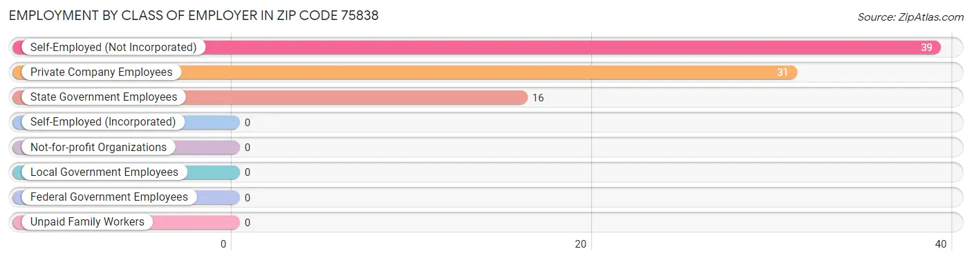 Employment by Class of Employer in Zip Code 75838