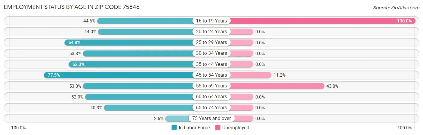 Employment Status by Age in Zip Code 75846