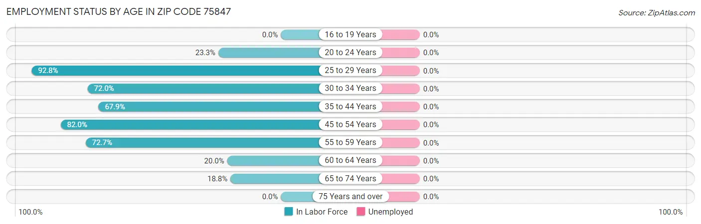 Employment Status by Age in Zip Code 75847