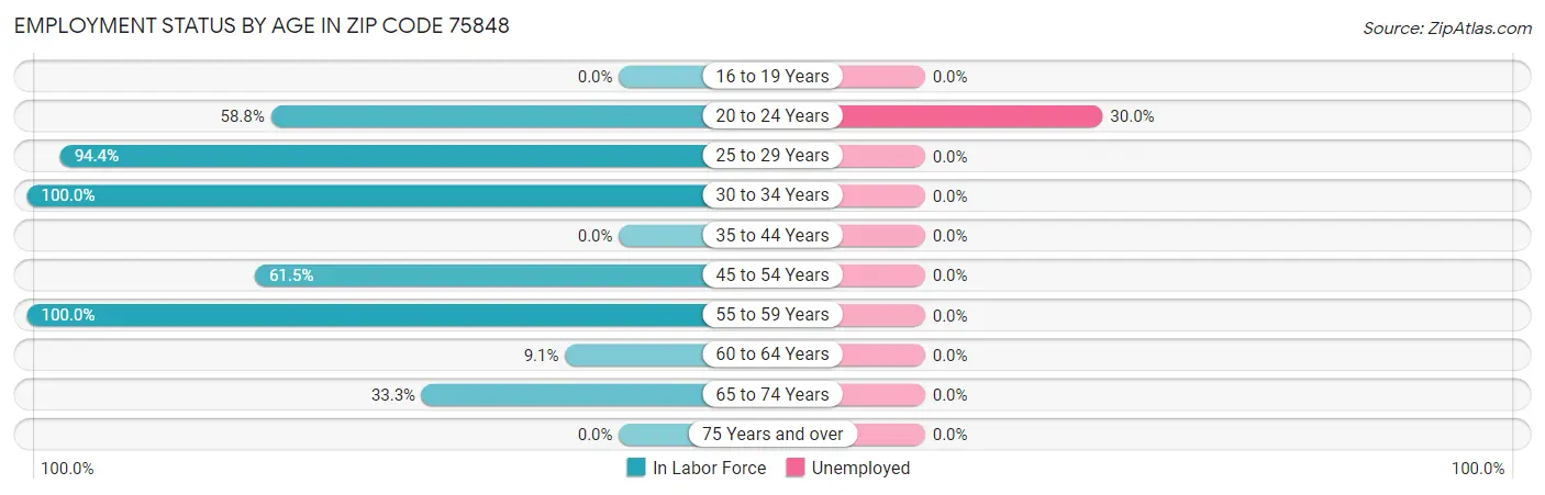 Employment Status by Age in Zip Code 75848