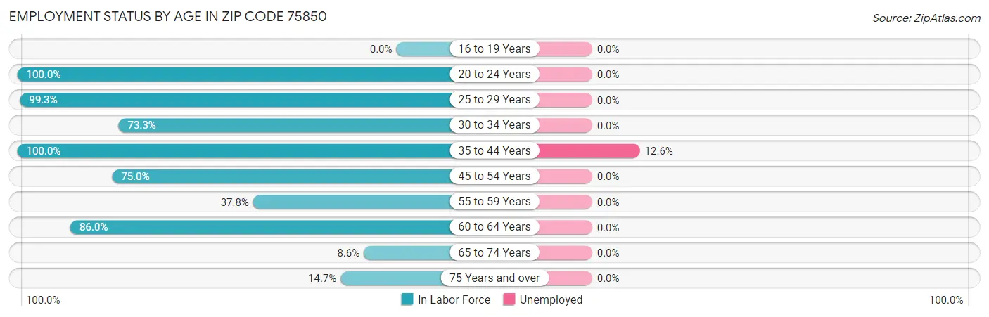 Employment Status by Age in Zip Code 75850
