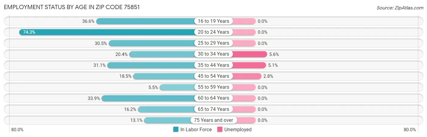 Employment Status by Age in Zip Code 75851