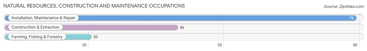 Natural Resources, Construction and Maintenance Occupations in Zip Code 75859