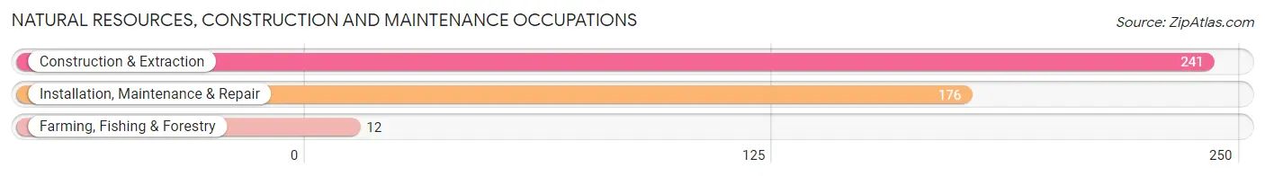 Natural Resources, Construction and Maintenance Occupations in Zip Code 75862