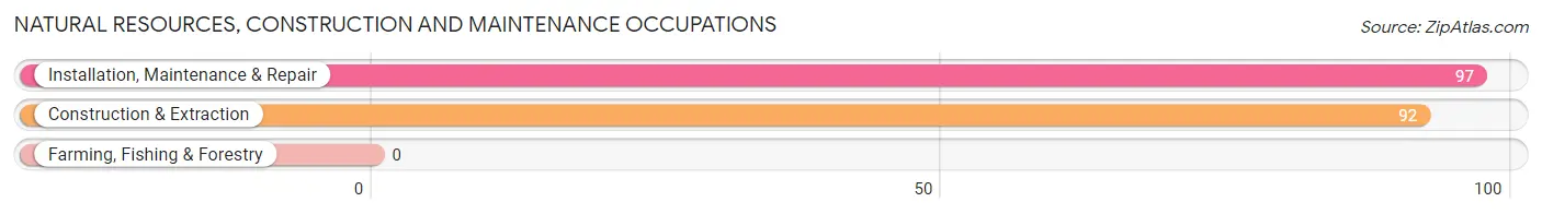 Natural Resources, Construction and Maintenance Occupations in Zip Code 75931