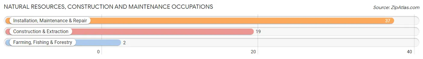 Natural Resources, Construction and Maintenance Occupations in Zip Code 75936