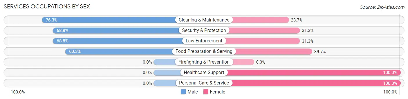 Services Occupations by Sex in Zip Code 75941