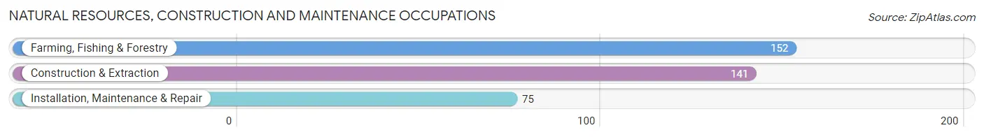 Natural Resources, Construction and Maintenance Occupations in Zip Code 75956