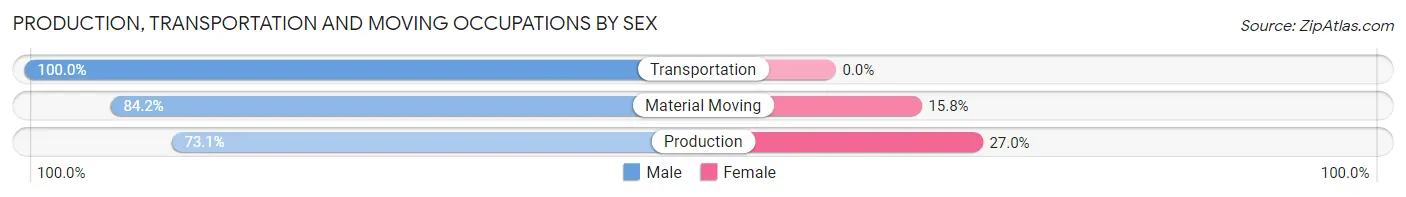 Production, Transportation and Moving Occupations by Sex in Zip Code 75956