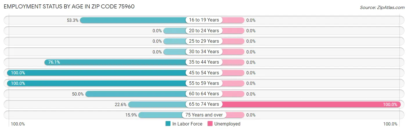 Employment Status by Age in Zip Code 75960