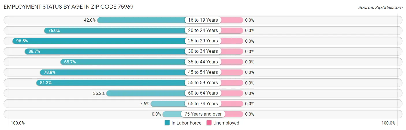 Employment Status by Age in Zip Code 75969