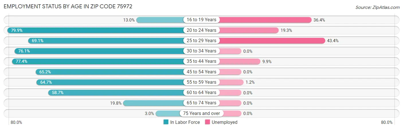 Employment Status by Age in Zip Code 75972