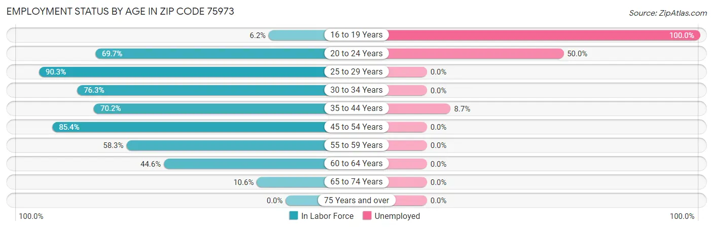 Employment Status by Age in Zip Code 75973