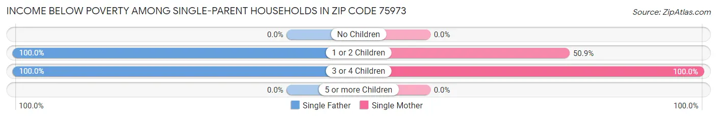 Income Below Poverty Among Single-Parent Households in Zip Code 75973