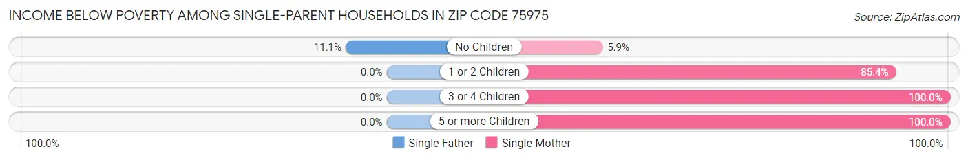 Income Below Poverty Among Single-Parent Households in Zip Code 75975