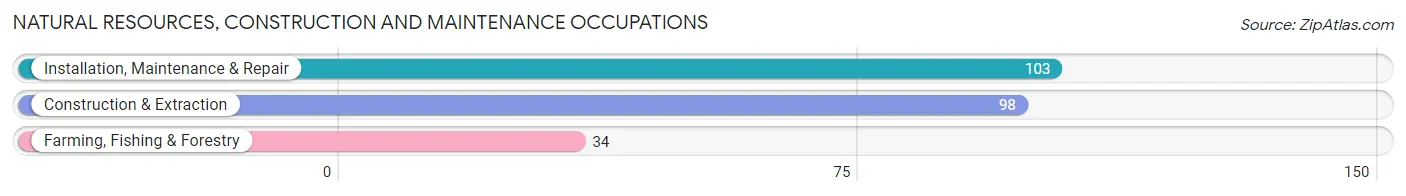 Natural Resources, Construction and Maintenance Occupations in Zip Code 75975