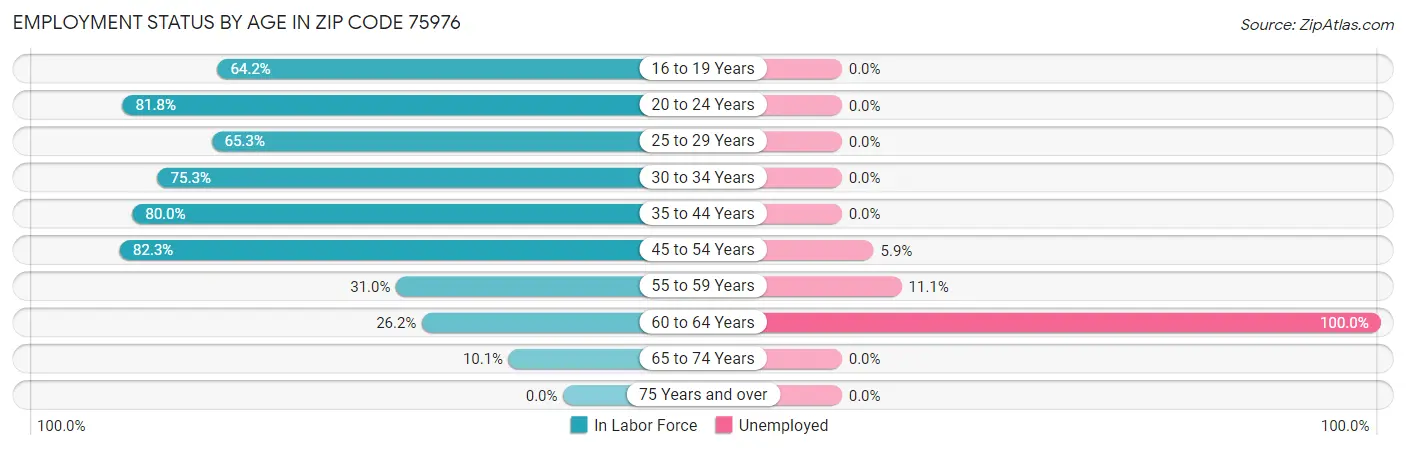Employment Status by Age in Zip Code 75976