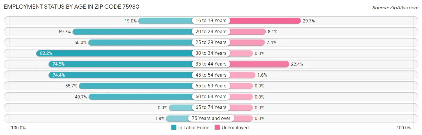 Employment Status by Age in Zip Code 75980