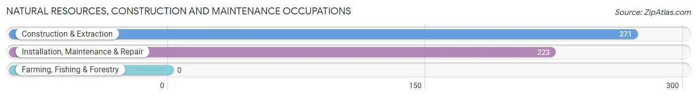 Natural Resources, Construction and Maintenance Occupations in Zip Code 76022