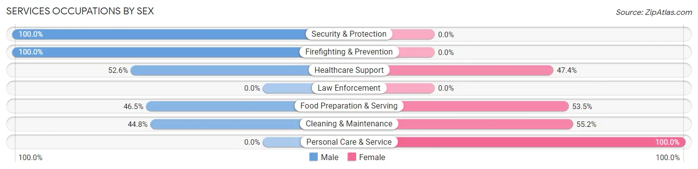 Services Occupations by Sex in Zip Code 76035