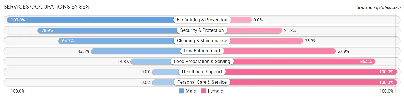 Services Occupations by Sex in Zip Code 76050