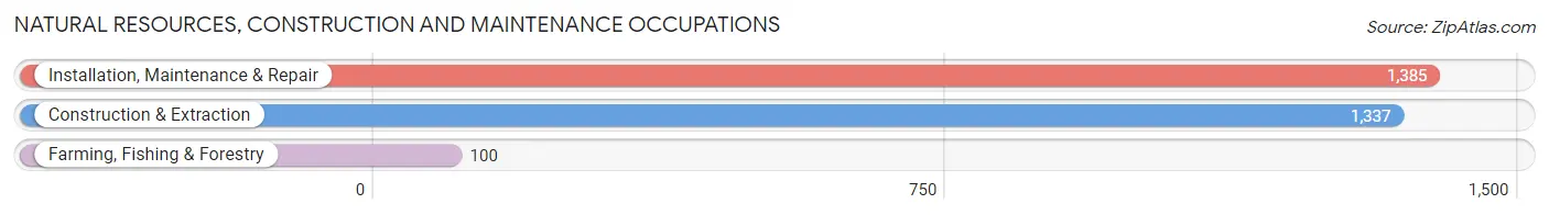 Natural Resources, Construction and Maintenance Occupations in Zip Code 76063