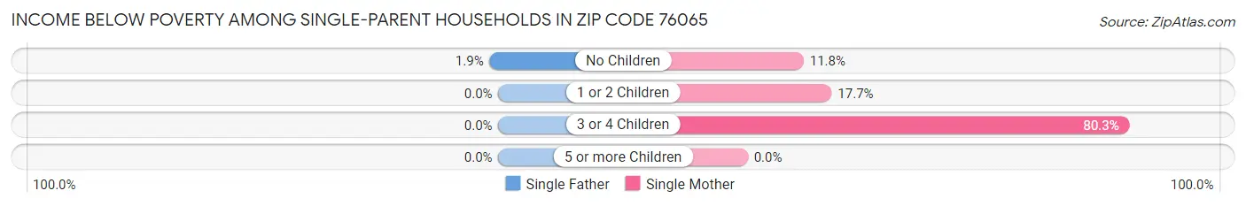Income Below Poverty Among Single-Parent Households in Zip Code 76065