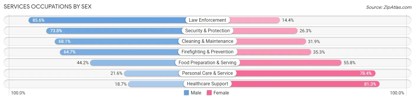 Services Occupations by Sex in Zip Code 76067