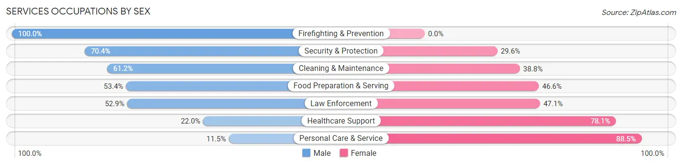Services Occupations by Sex in Zip Code 76073